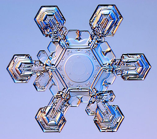 Dendritischer Schneekristall