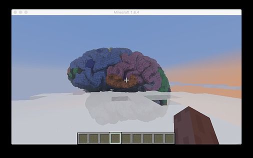 Minecraft Brain