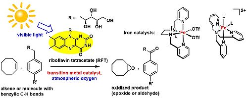 Photocatalysis 1