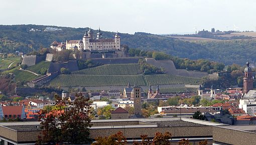 Wuerzburg Panorama