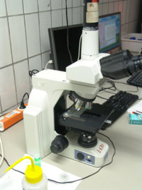 Opt Microscope1