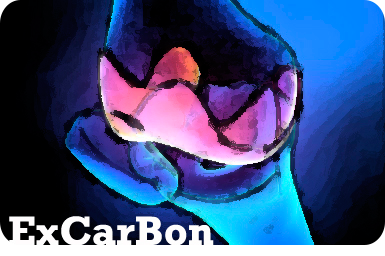 Logo Excarbon